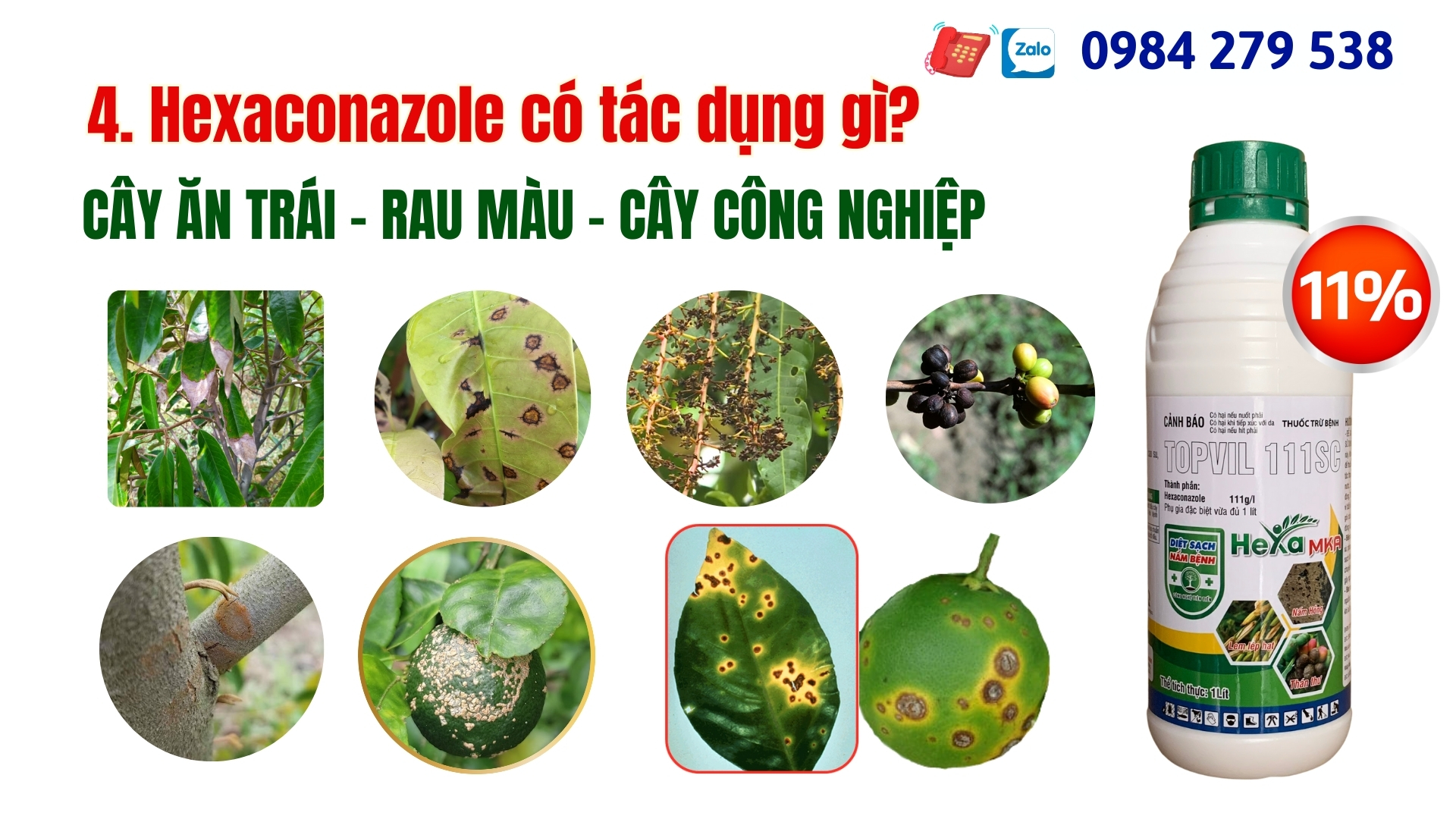 Hexa MKA hoạt chất hexaconazole có tác dụng gì?